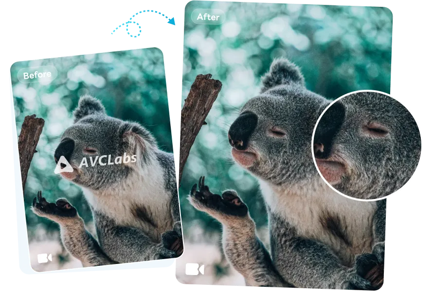 avclabs online remove logo from video free