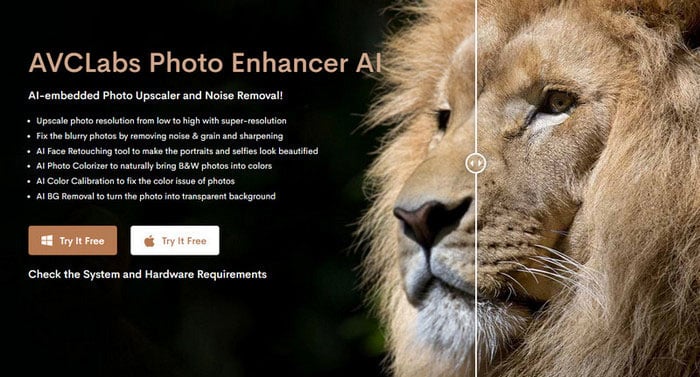 The Complete Review to AVCLabs Photo Enhancer AI and How It can Enhance Your Photos Without Losing Quality
