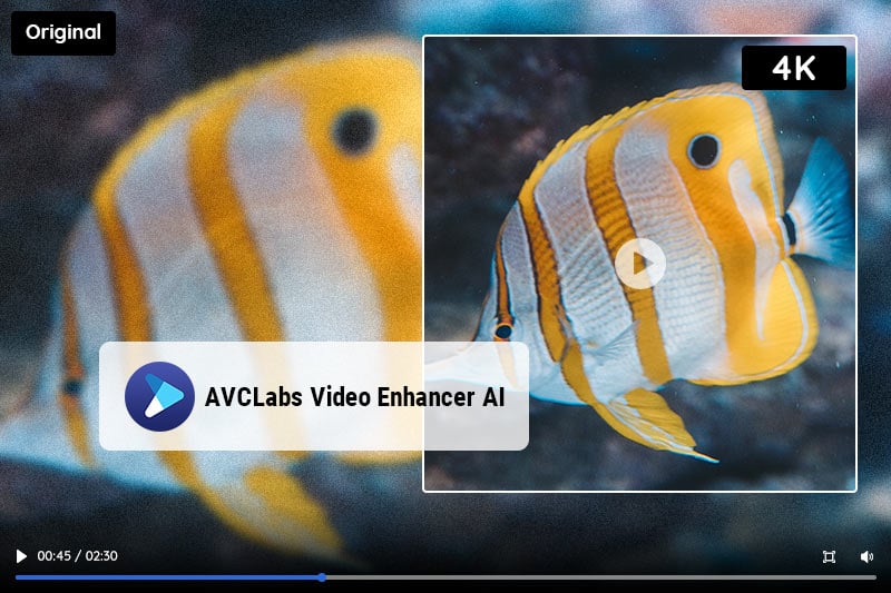 best 4k video converter