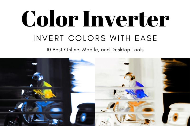 10 Best Color Inverters to Invert Colors with Ease: Online, Mobile, and Desktop