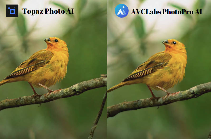 AVCLabs PhotoPro AI vs Topaz Photo AI