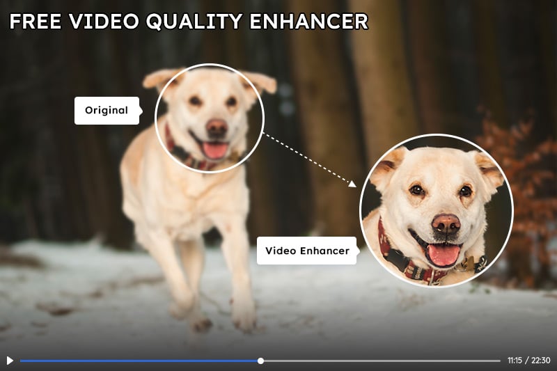 Améliorez gratuitement la qualité vidéo avec la puissance de l'IA