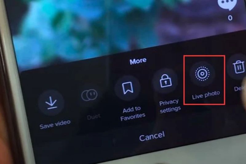 how to make a video a live photo by tiktok