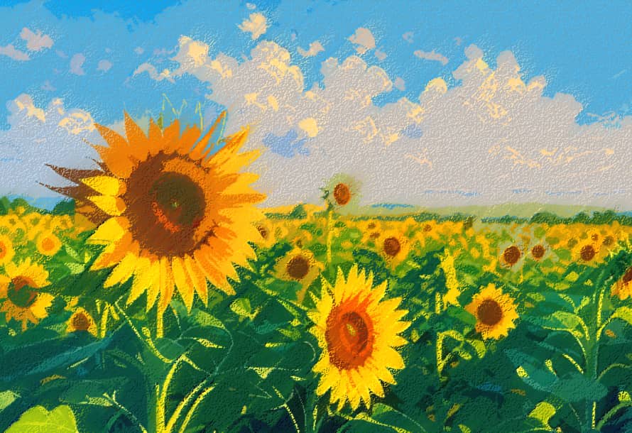 Après avoir transformé une photo de paysage en illustration